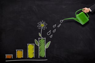 How to Streamline Your Spending While You Grow: A Case Study